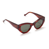 Willow in Brown Havana